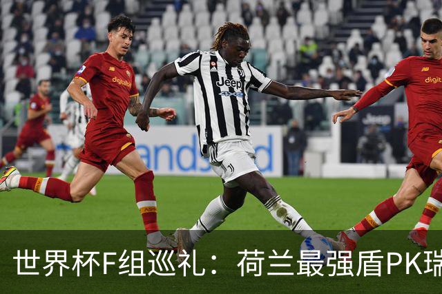 世界杯F组巡礼：荷兰最强盾PK瑞典犀利刀 日本短板明显