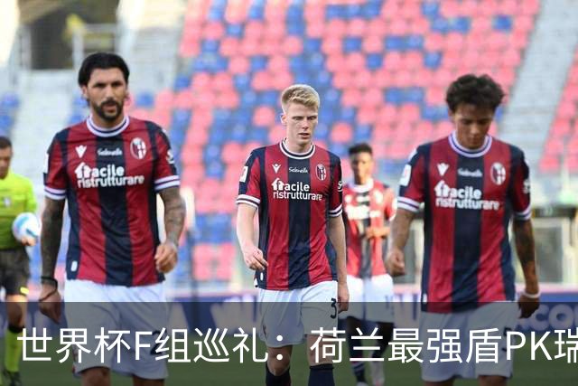 世界杯F组巡礼：荷兰最强盾PK瑞典犀利刀 日本短板明显